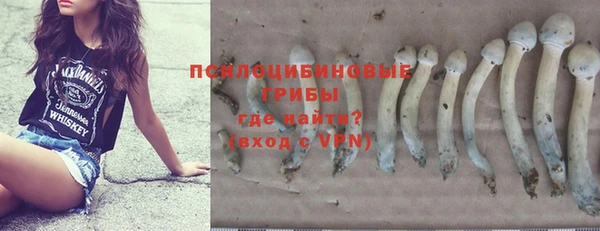 прущие крисы Алексеевка